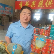 西州蜜25哈密瓜小蜜25大量上市产地直供全国发货
