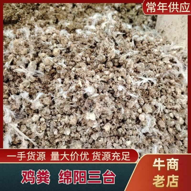 大型青年鸡场小鸡粪厂家一手货源常年供货全国接单按需求打包装袋