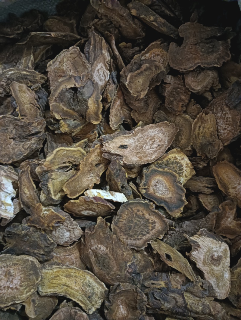 大黄马蹄黄现货供应实物实拍批发各种中药材
