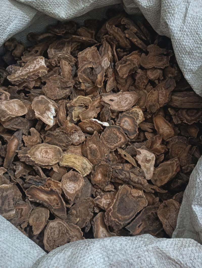大黄马蹄黄现货供应实物实拍批发各种中药材
