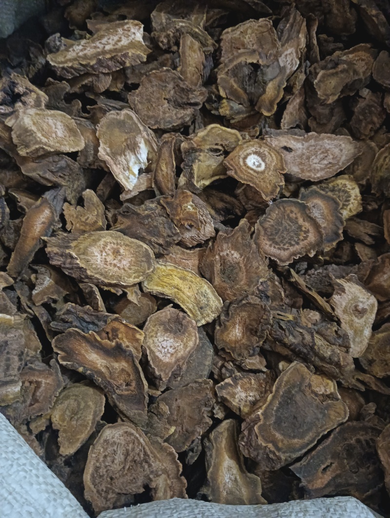 大黄马蹄黄现货供应实物实拍批发各种中药材