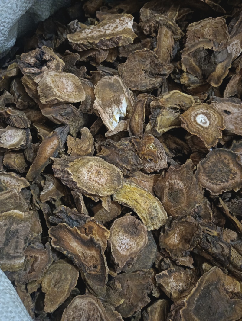 大黄马蹄黄现货供应实物实拍批发各种中药材