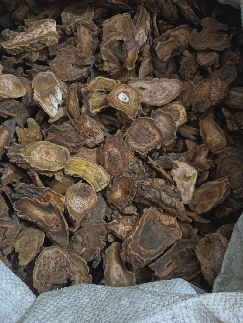大黄马蹄黄现货供应实物实拍批发各种中药材