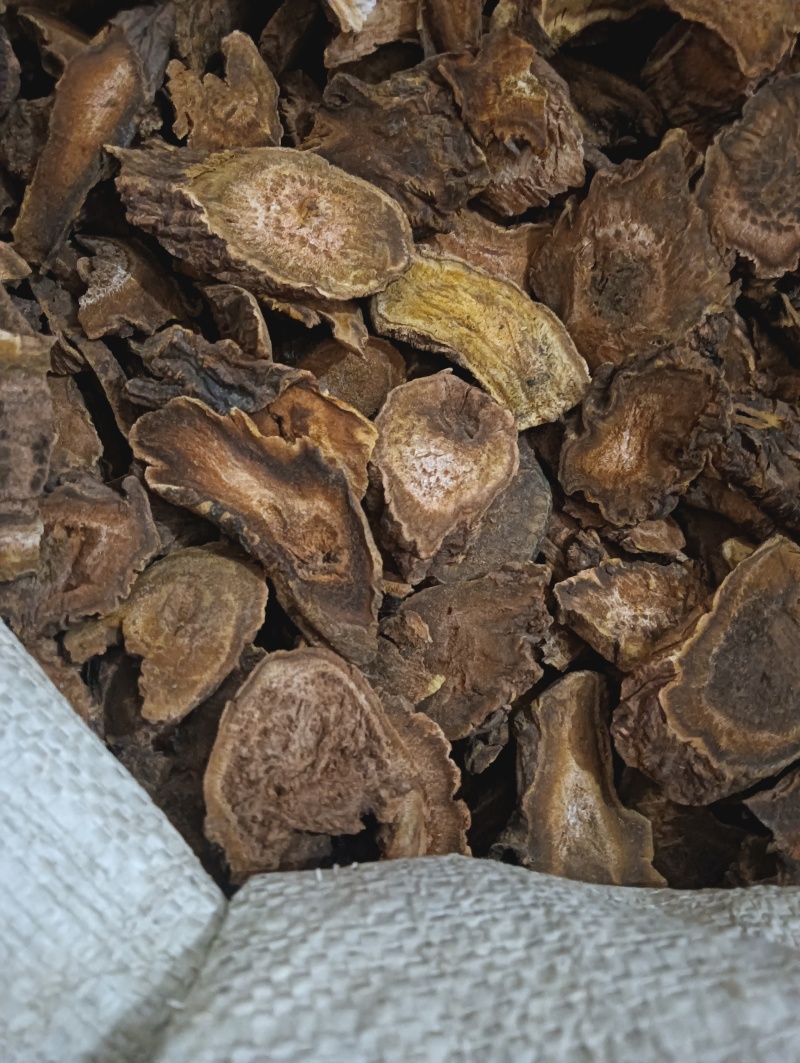 大黄马蹄黄现货供应实物实拍批发各种中药材