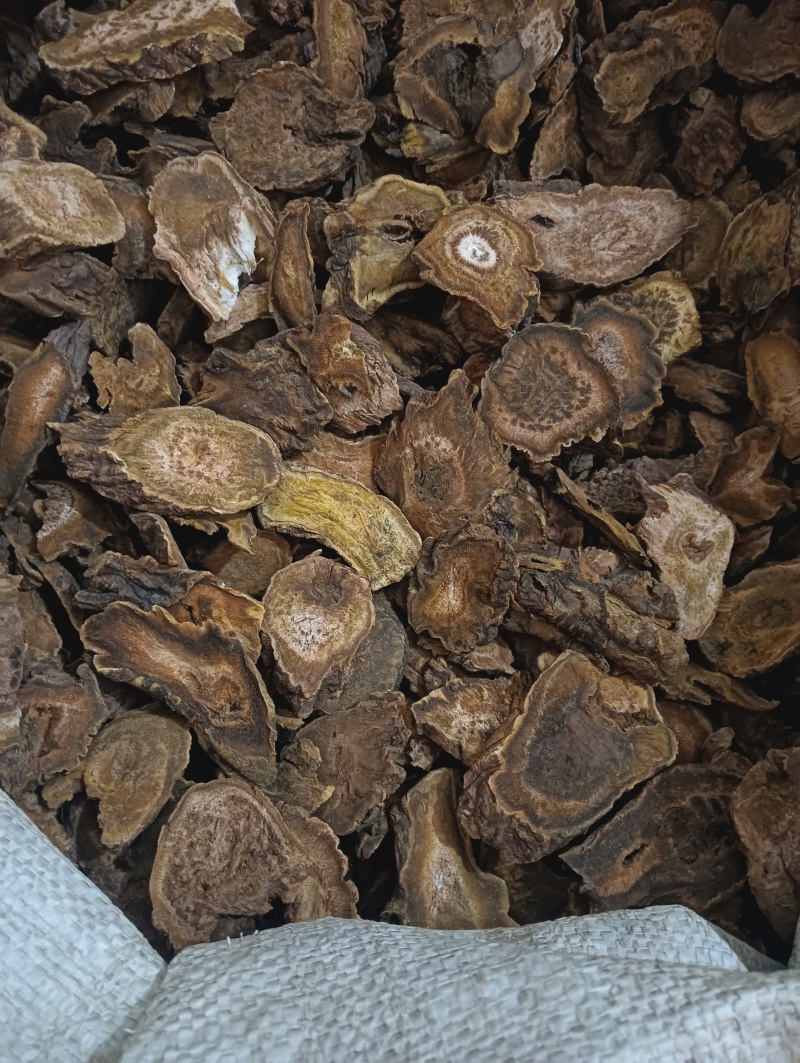 大黄马蹄黄现货供应实物实拍批发各种中药材