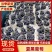 精品万亩夏黑葡萄品质保证，诚信经营，代收代发一条龙服务
