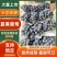 夏邑精品夏黑葡萄大量上市，规格齐全价格公道，可视频看货