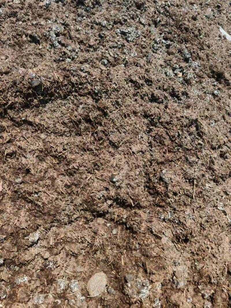 菌渣大量有货，厂家直发，一手货源，欢迎新老客户前来合作