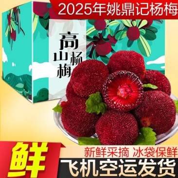 【空运】杨梅新鲜现摘礼盒水果2025当季酸甜泡酒应季孕妇老树