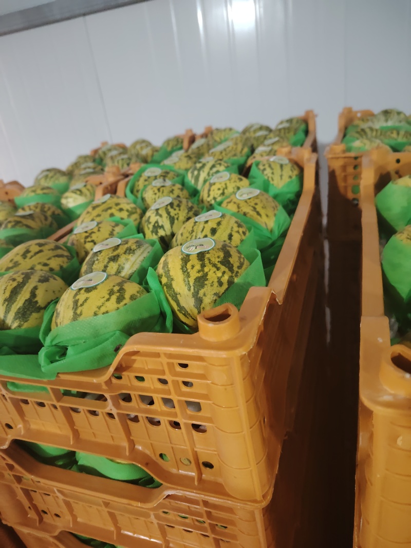 八里香瓜原产代收代发
