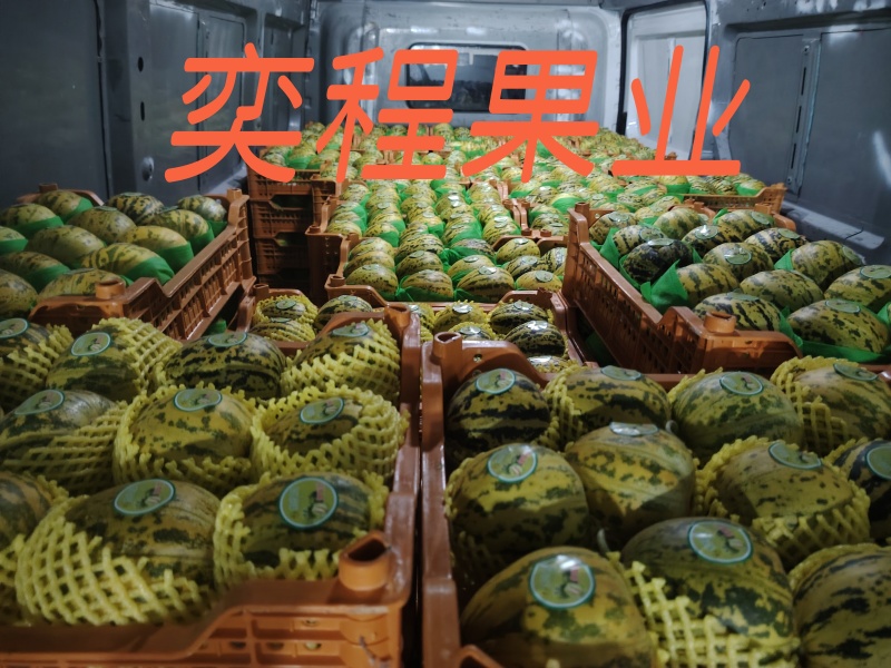 八里香瓜原产代收代发