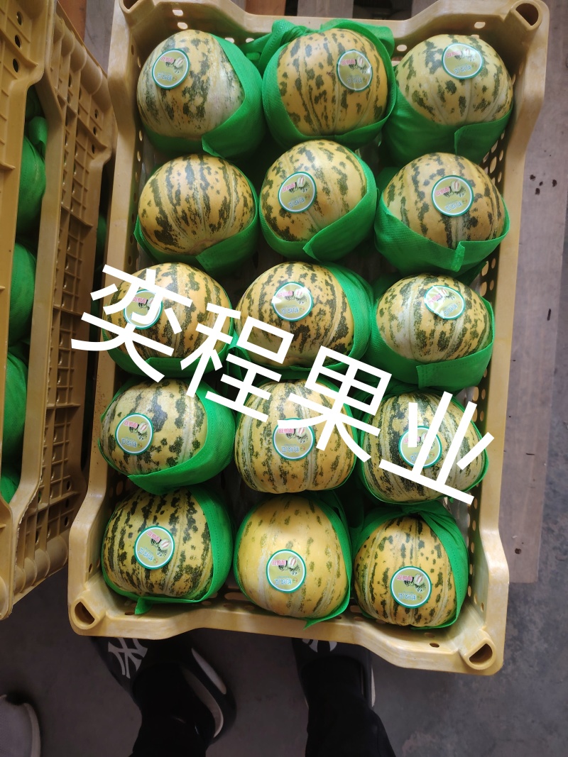 八里香瓜原产代收代发