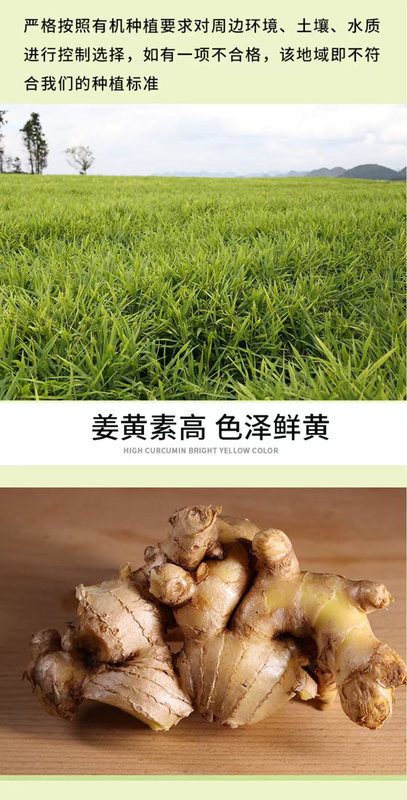 【热卖推荐】云南鲜姜基地种植源头工厂直发可线上下