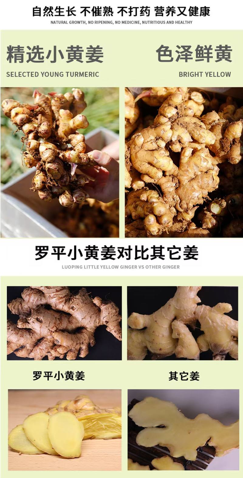 【热卖推荐】云南鲜姜基地种植源头工厂直发可线上下