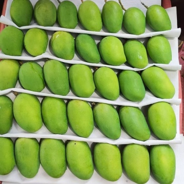 海南热带水果，一级小台芒，重量80克起。