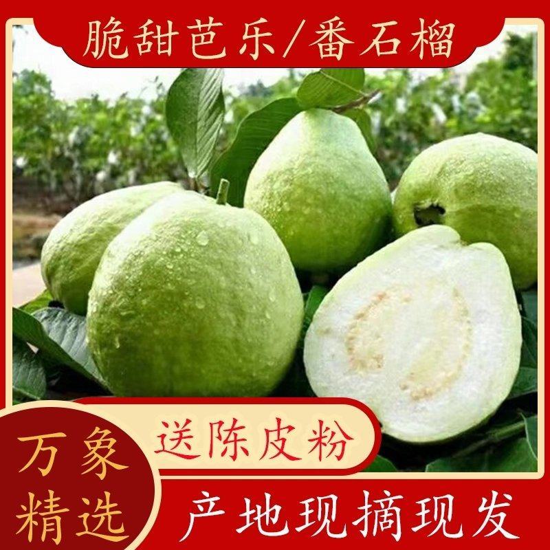 番石榴
