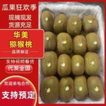 华美猕猴桃，产地大量供应，一手货源，可视频看货，致电联系