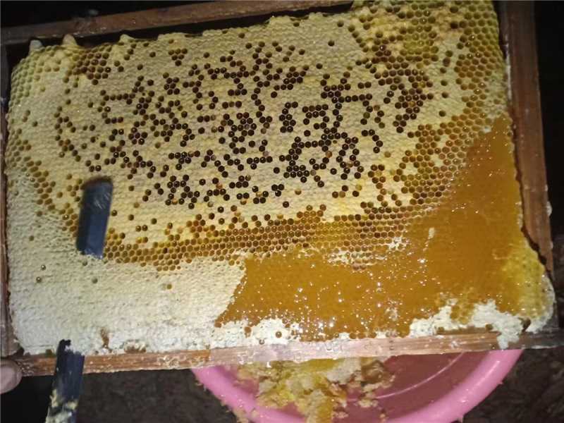 农家土蜂蜜自产自销货源稳定可批发零售欢迎随时联系