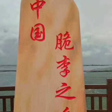 巫山脆李一件代发