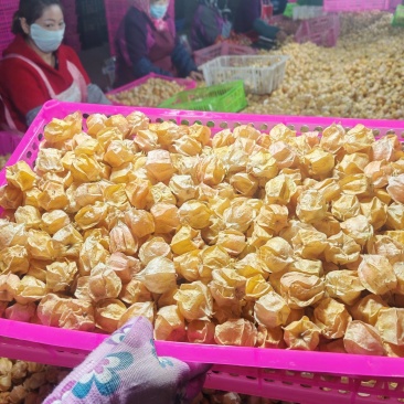 吉林大安黄菇娘果专业一件代发对接各大平台