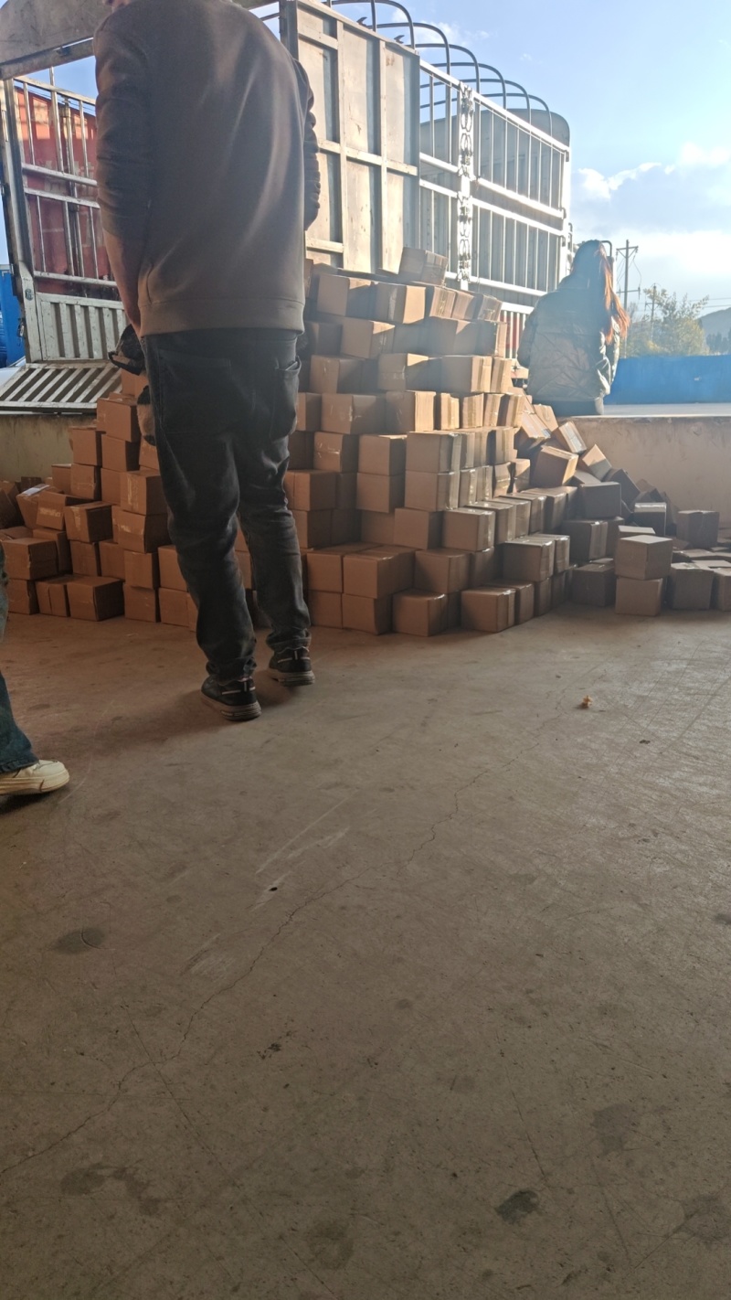 吉林大安黄菇娘果专业一件代发对接各大平台
