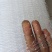 [牛]果园防鸟网葡萄园草莓园鱼塘大棚加粗尼龙网果树稻谷
