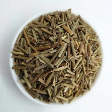中药材早熟禾别名稍草小青草小鸡草冷草冷备中药材