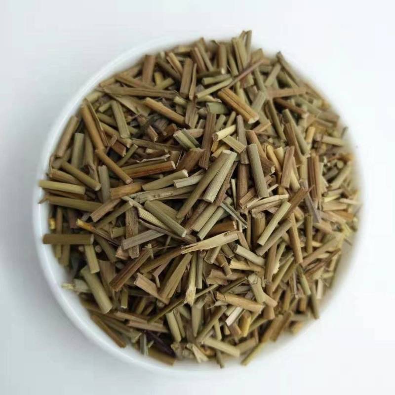 中药材早熟禾别名稍草小青草小鸡草冷草冷备中药材