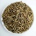 中药材早熟禾别名稍草小青草小鸡草冷草冷备中药材