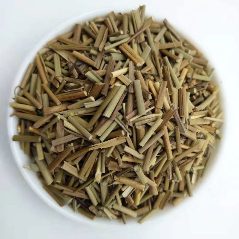 中药材早熟禾别名稍草小青草小鸡草冷草冷备中药材