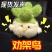 【武汉文创发声玩偶】樱花粉色限定款湖北武汉和平鸟毛绒蒜鸟