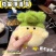 【武汉文创发声玩偶】樱花粉色限定款湖北武汉和平鸟毛绒蒜鸟