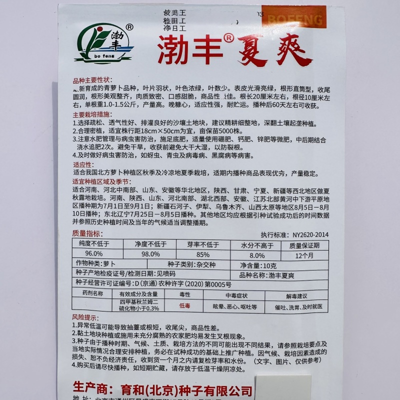 夏爽青萝卜种子甜脆水果萝卜种子秋季耐热杂交萝卜种籽脆甜