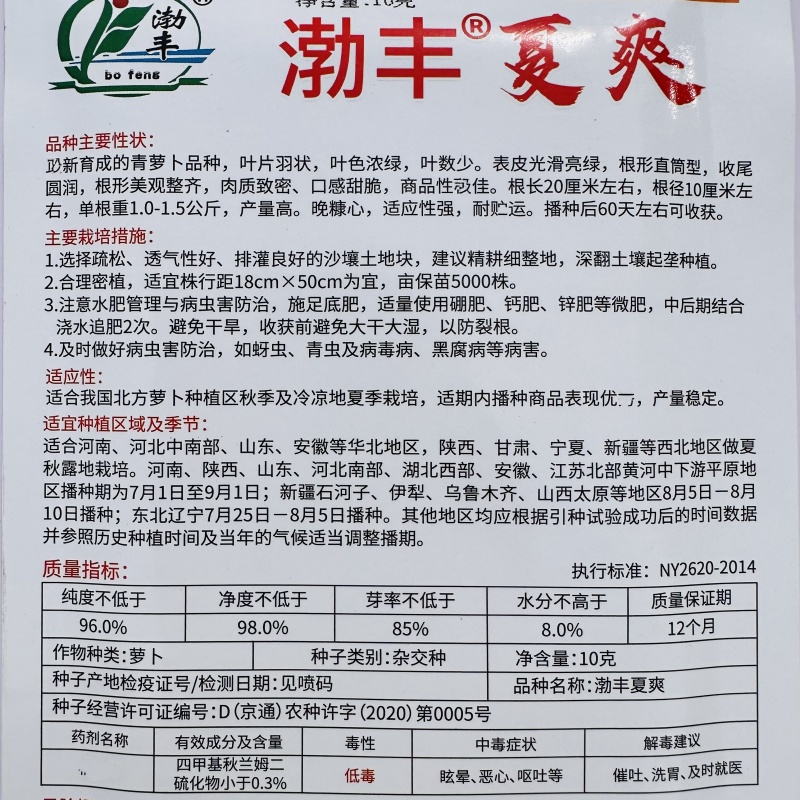 夏爽青萝卜种子甜脆水果萝卜种子秋季耐热杂交萝卜种籽脆甜