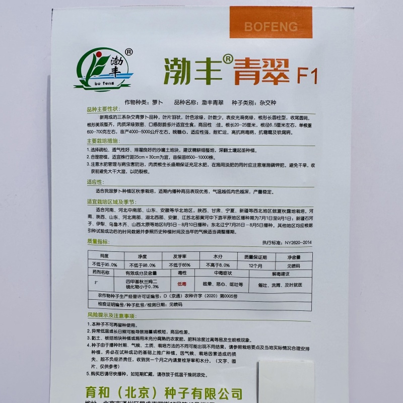 渤丰青翠水果萝卜种子秋季抗病三系杂交青萝卜种子甜脆多汁