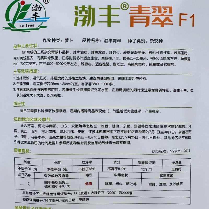 渤丰青翠水果萝卜种子秋季抗病三系杂交青萝卜种子甜脆多汁
