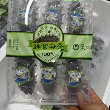 烟台海参