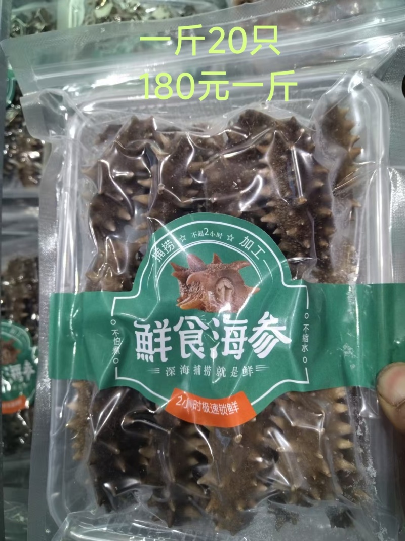 烟台海参