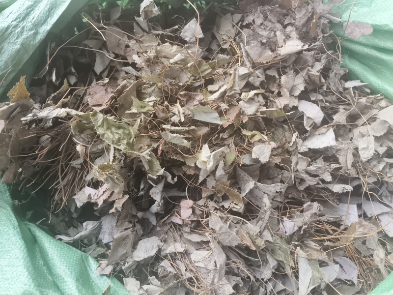 陕南高山淫洋霍，天然生长，无污染，干度好，颜色一般。