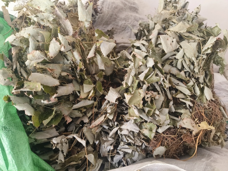 陕南高山淫洋霍，天然生长，无污染，干度好，颜色一般。