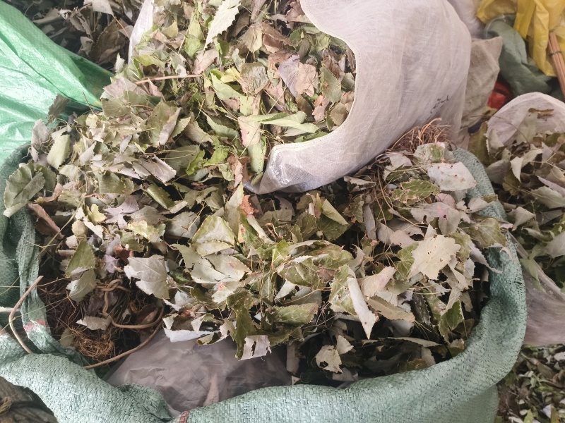 陕南高山淫洋霍，天然生长，无污染，干度好，颜色一般。