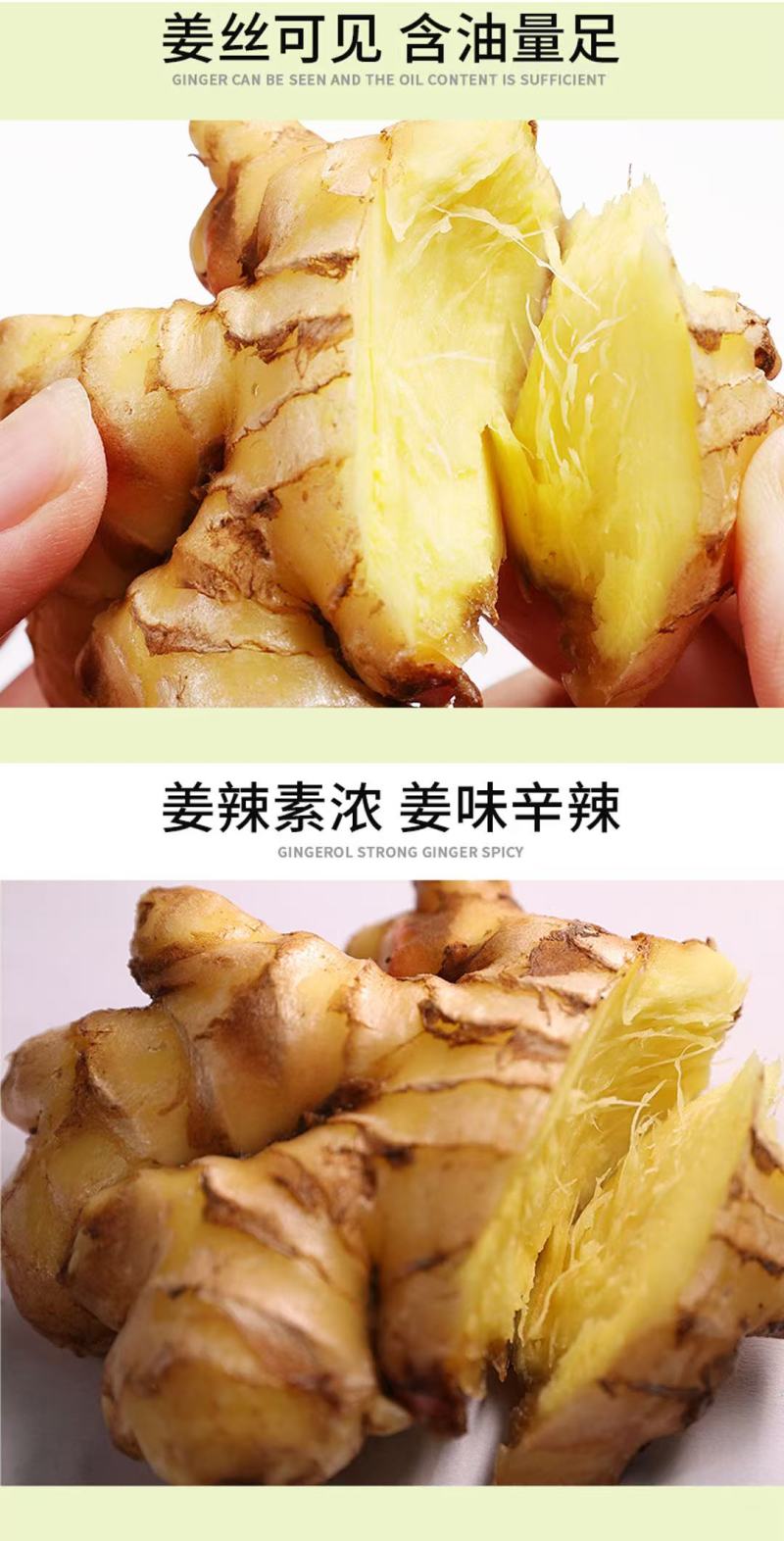 云南鲜姜基地种植源头厂家直发在线发货