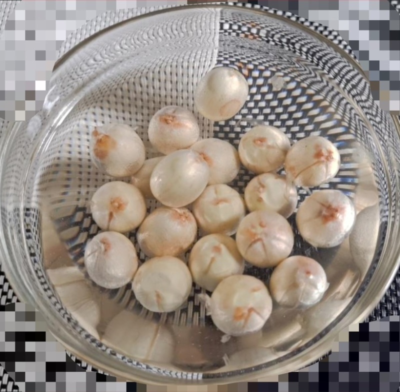 新鲜莲蓬一级欢迎老板联系大量有货