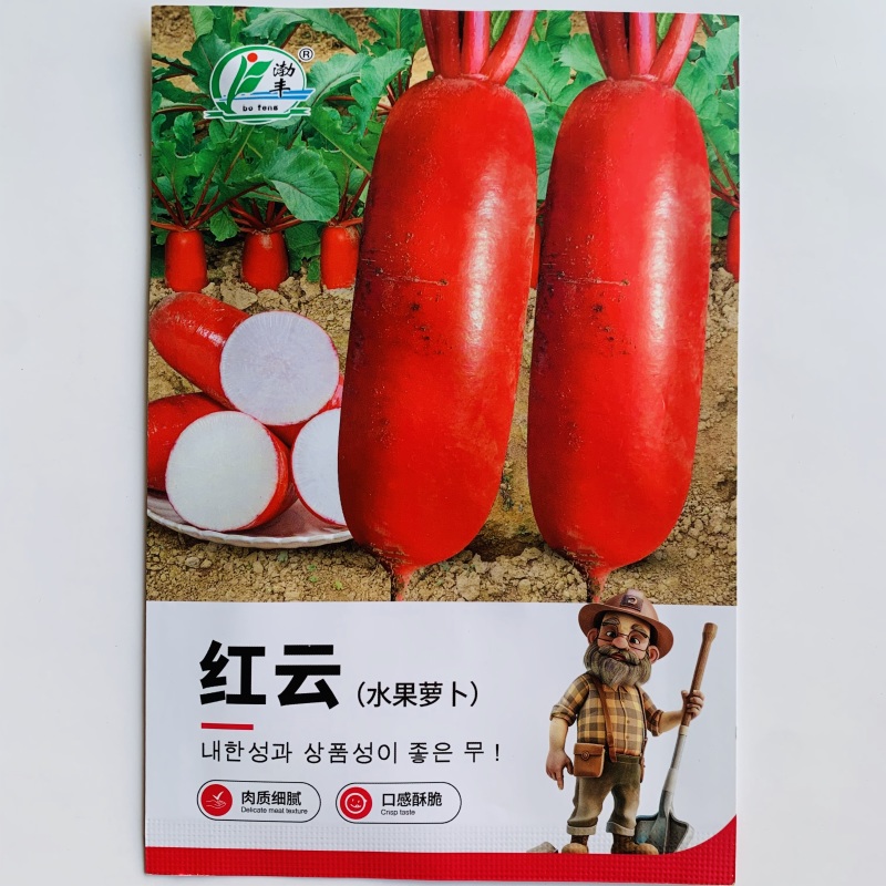 渤丰红云水果萝卜种子红皮白肉萝卜种子口感型脆甜红萝卜种籽