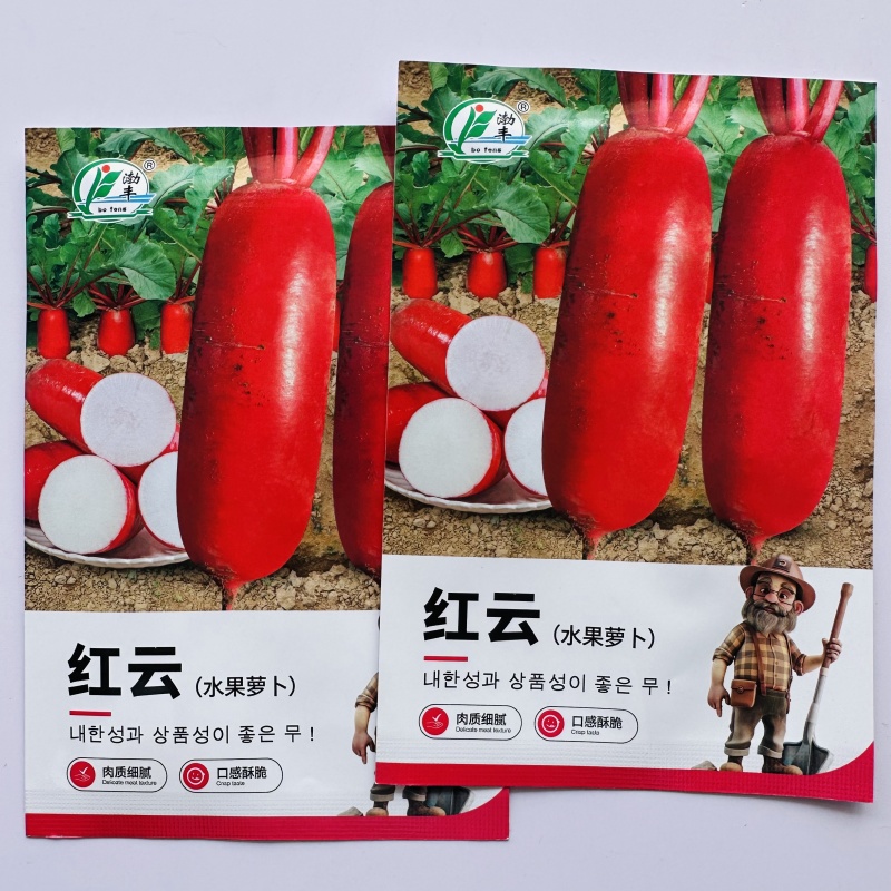 渤丰红云水果萝卜种子红皮白肉萝卜种子口感型脆甜红萝卜种籽