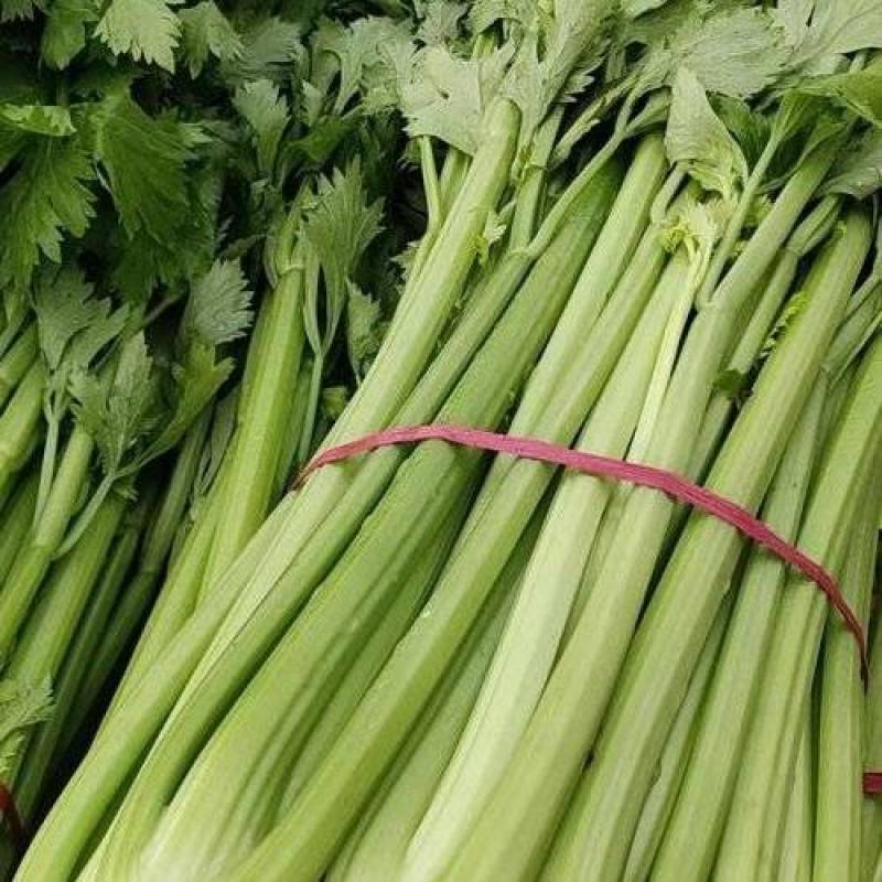 本地芹菜大量上市，欢迎新老客户预定，