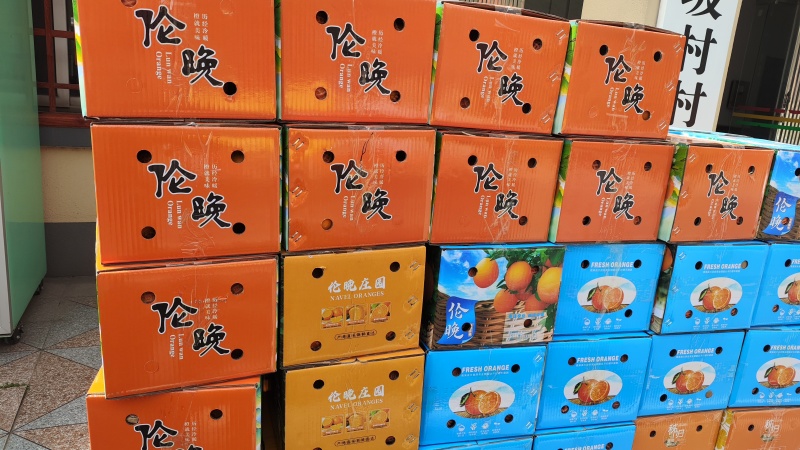 新鲜伦晚橙帝王橙当季橙子榨汁果榨汁橙脐橙秭归脐橙秭归伦晚