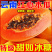 【超甜】云南红心木瓜批发价牛奶冰糖心木瓜牛奶整箱当季水果木瓜