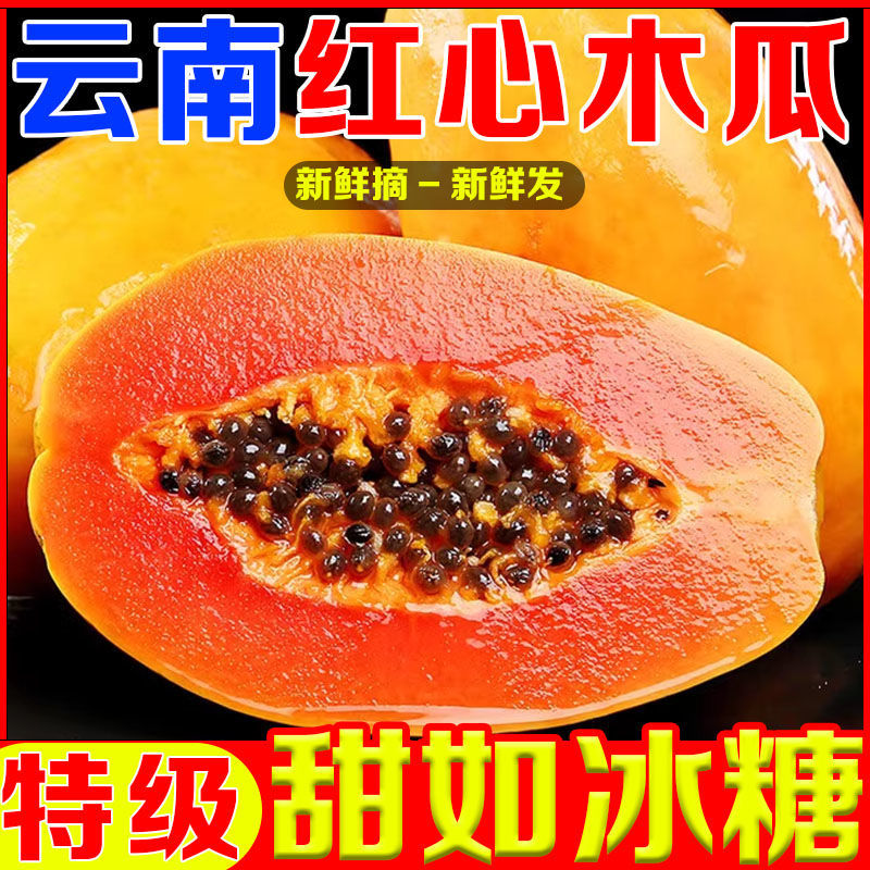 【超甜】云南红心木瓜批发价牛奶冰糖心木瓜牛奶整箱当季水果木瓜