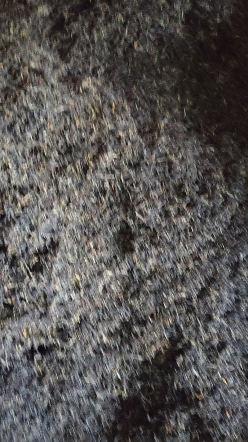 【精品推荐】云南古树红茶源头产地直发送礼优选